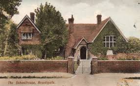 Image result for Newdigate Clays