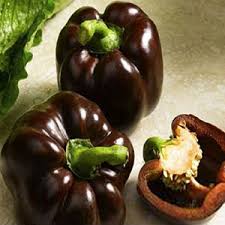 Afbeeldingsresultaat voor chocolate beauty sweet pepper