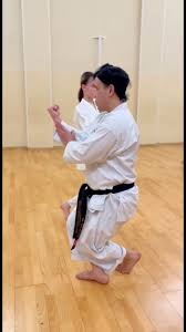 Image result for Wokingham Shotokai