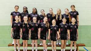 Image result for Ecs Predators Netball Club