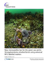 Image result for Strongylocentrotus droebachiensis