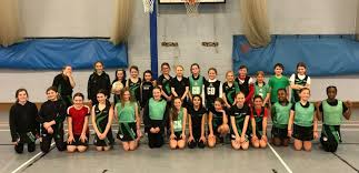 Image result for Cd Phoenix Netball Club