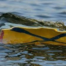 Image result for Hexham Rowing Club