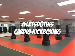 Image result for United Dojos Kickboxing