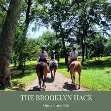 Image result for North Lammermuir Riding Club