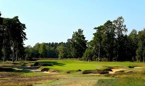 Image result for Worplesdon Tennis Association