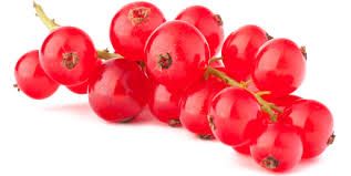 Bildergebnis für rote johannisbeeren