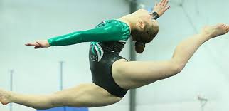 Image result for Ipswich Gymnastics
