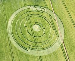 Image result for crop circles