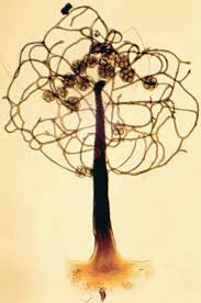 Attēlu rezultāti vaicājumam “Colloderma oculatum plasmodium”