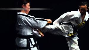 Image result for Redhill & Reigate Taekwon-Do