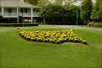 AugustaNationalMastersLogoFlowers.jpg