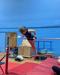 Image result for Thornton Sport Gymnastics