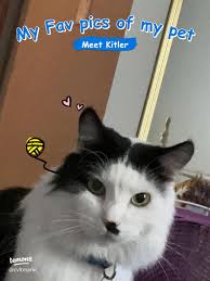 Image result for kitler