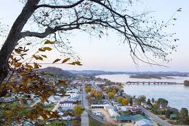 Image result for Bellevue