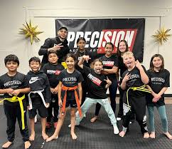 Image result for Precision Martial Arts