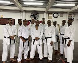Image result for Ji Shin Do Karate