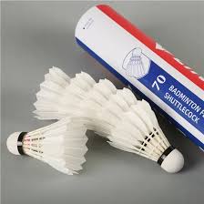 Image result for Flight Badminton Club