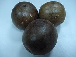 Attēlu rezultāti vaicājumam “Silene viscaria fruit”