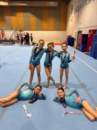 Image result for Sheredes Gymnastics Club
