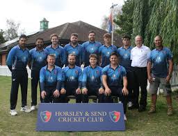 Image result for Horsley & Send Cricket Club