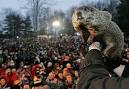 Image: Punxsutawney Phil
