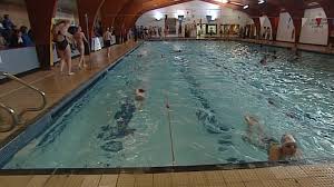 Image result for Gosport Dolphins Swimming Club
