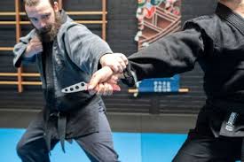 Image result for Hachidori ju-jitsu Martial Arts
