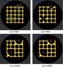 Attēlu rezultāti vaicājumam “Physarum daamsii”