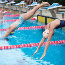 Image result for Bournemouth Spartans Winter Sea Swimming Club