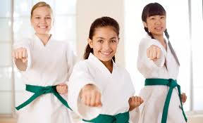 Image result for United Sport Karate