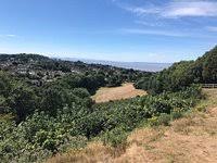 Image result for Clevedon Golf Club