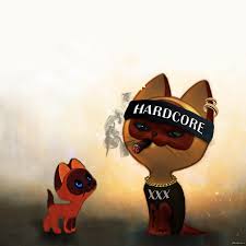 Image result for футболки с котенком гав