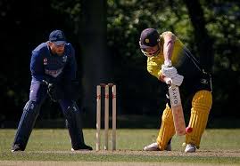 Image result for Halstead Colts Cricket Club