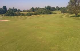 Image result for Werneth Cricket Club