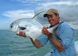 Image result for Trachinotus falcatus