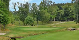 Image result for The Alt Golf Club