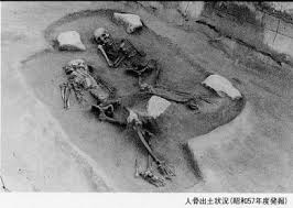 Image result for 土井ヶ浜遺跡　視線　故郷