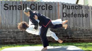 Image result for Komaru Ryu Small Circle Jujitsu/Karate