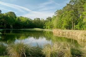 Image result for Blackmoor Golf Club