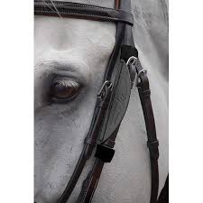 Image result for scheuklappen