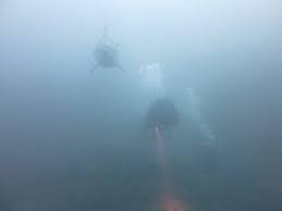 Image result for Prima Sub-Aqua