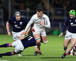 Image result for Litchfield Saracens