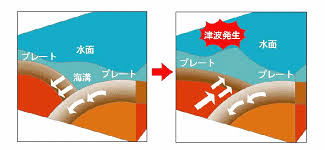 Image result for 高潮 津波 別物