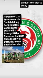 Image result for Caerbryn Association Football Club