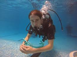 Image result for Stortford Divers