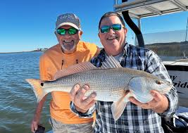 Image result for Paignton Sea Anglers Association