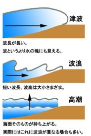 Image result for 高潮 津波 別物