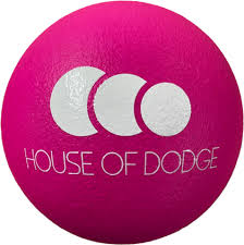 Image result for The Dodgeball Company