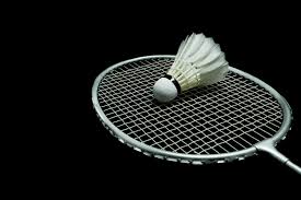 Image result for Michael Drayton Badminton Club